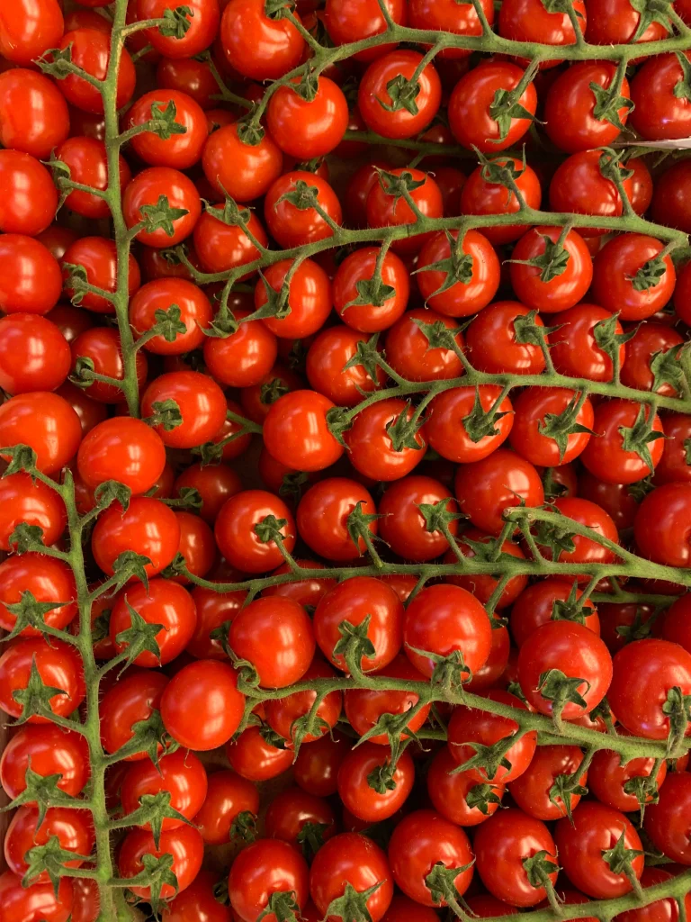 Tomate cerise en grappe (cocktail)