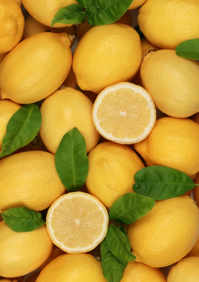 Citron Espagne & Portugal