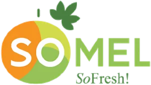 SoMel
