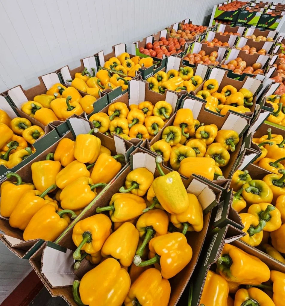 Poivrons en entrepôt chez Top Fruits