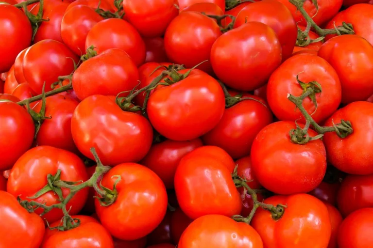 Tomates
