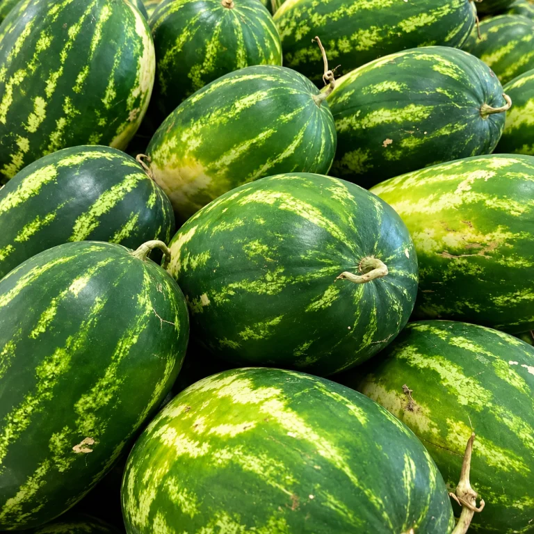 Pastèques