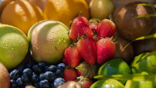Expert en production et commercialisation de fruits et légumes depuis plus de 50 ans